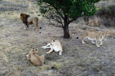 Прикрепленное изображение: DSC_0031_.jpg